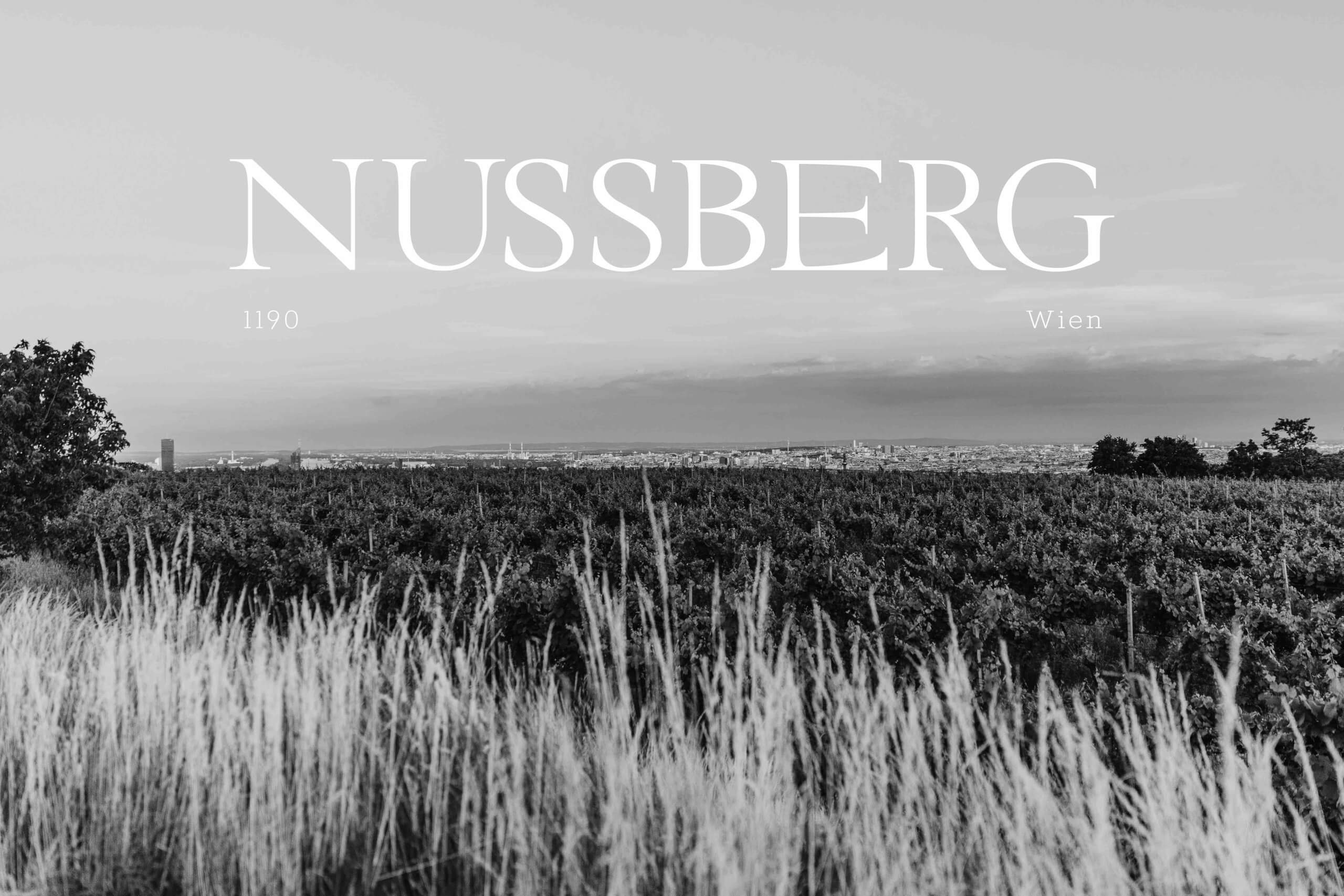 Nussberg web 2 1 scaled